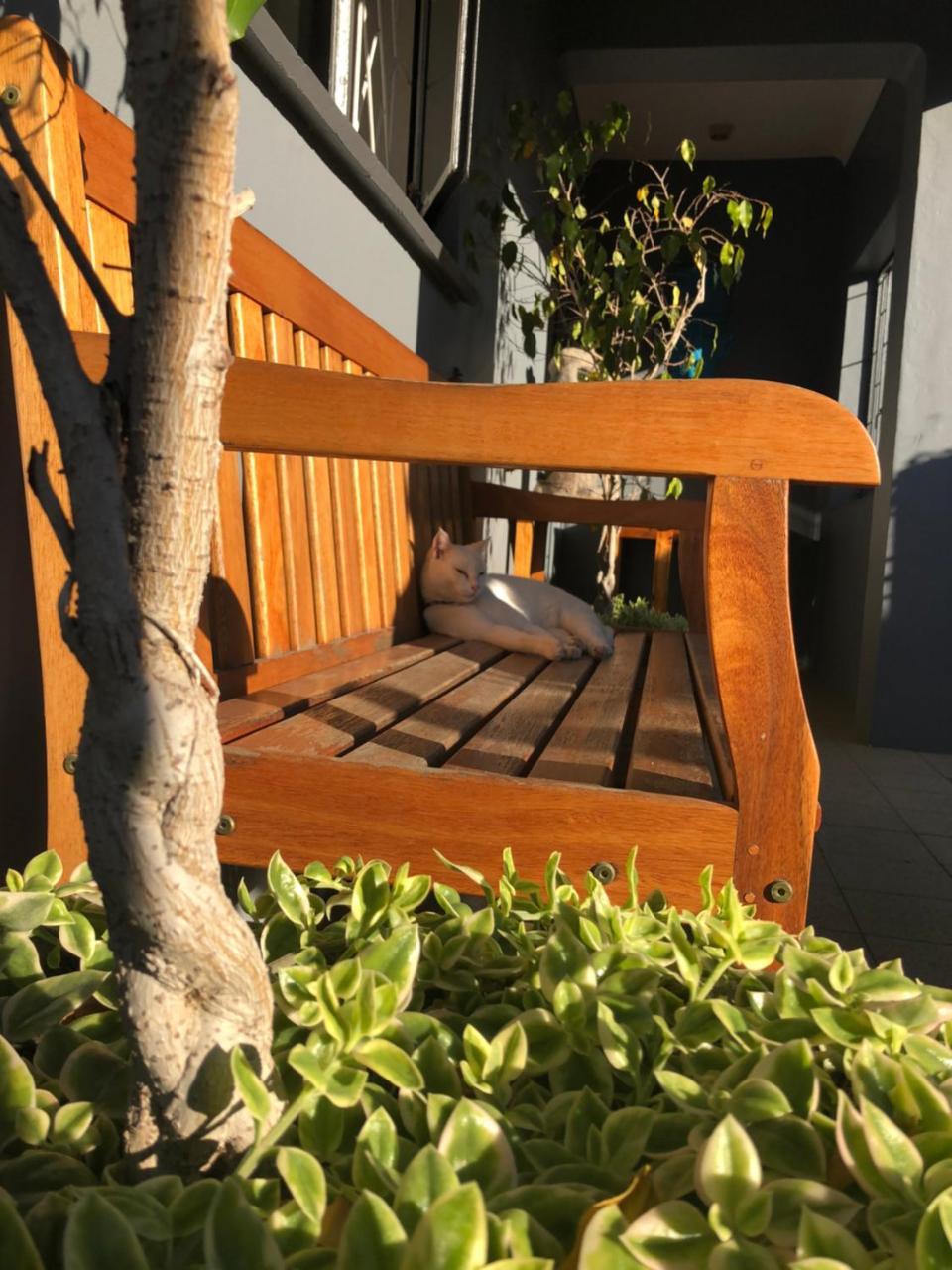 Albergo For Backpackers Plettenberg Bay Eksteriør bilde